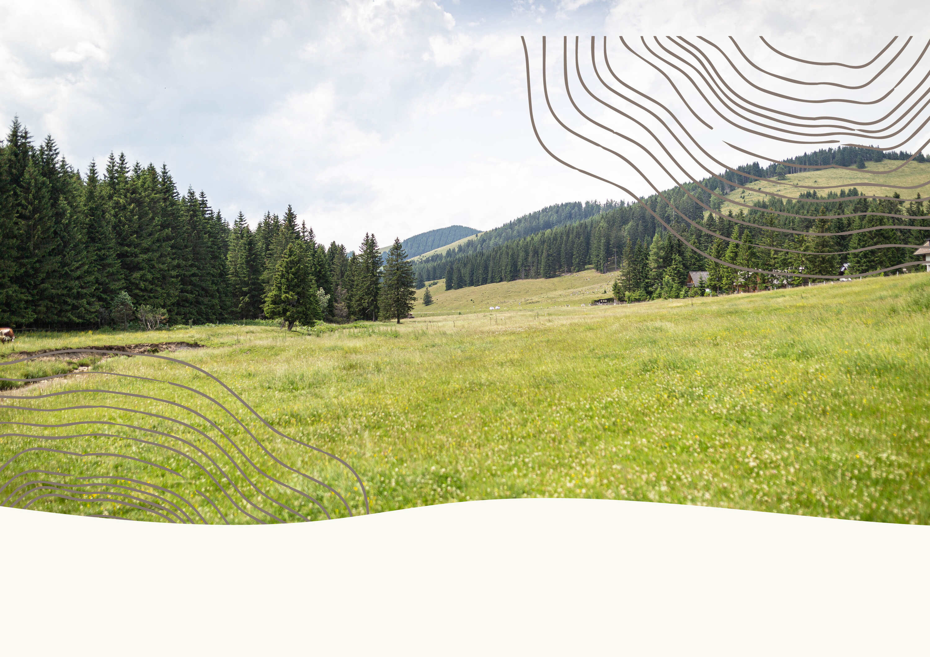 Landschaft auf der Alm.